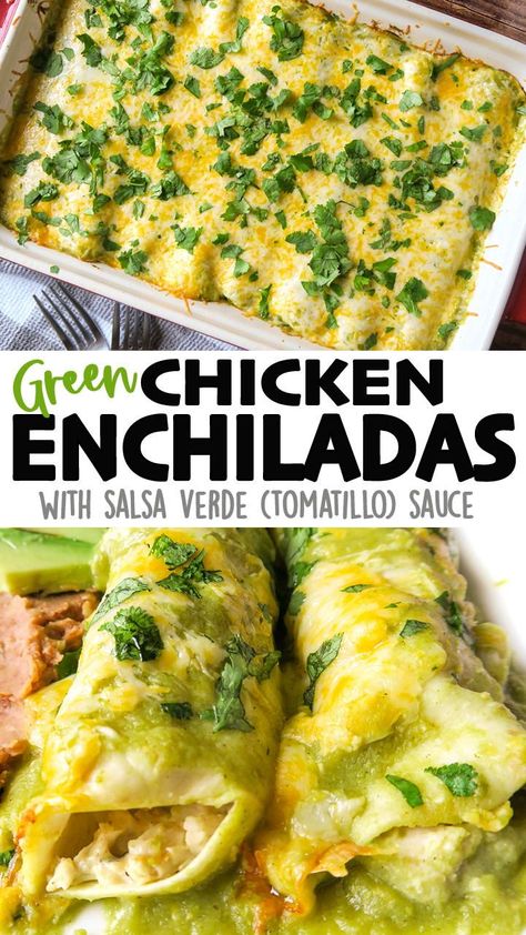 Chicken Chili Verde Enchiladas, Green Cream Cheese Enchiladas, Easy Enchilada Recipes, Green Enchiladas With Cream Cheese, Tomatillo Chicken Enchiladas, Creamy Chicken Enchiladas Verde, Tomatillo Recipes Chicken, How To Make Enchiladas Shredded Chicken, Tomatillo Sauce Enchiladas