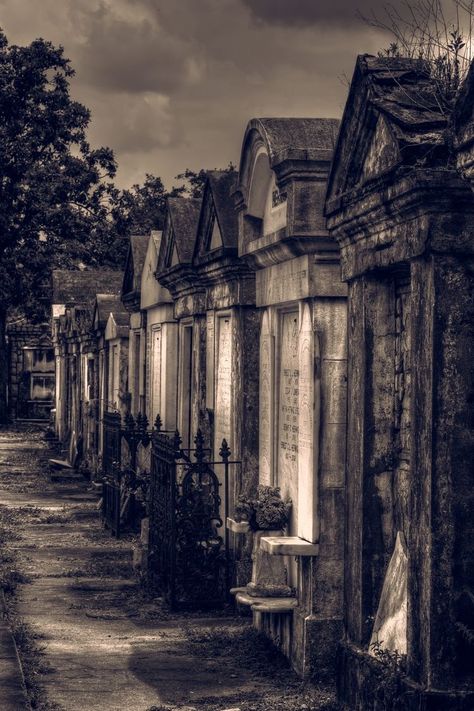 Louisiana Gothic, New Orleans Gothic, Nola Aesthetic, Scary Cemetery, New Orleans Aesthetic, Cemetery Photography, New Orleans Cemeteries, Lafayette Cemetery, Cemeteries Photography