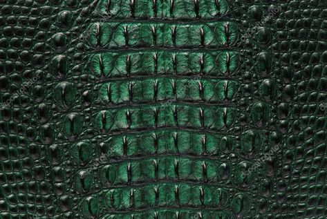 Freshwater Crocodile, Green Crocodile, Water Dragon, Crocodile Skin, Clay Design, Texture Background, Crocodile Leather, Leather Texture, Skin Texture