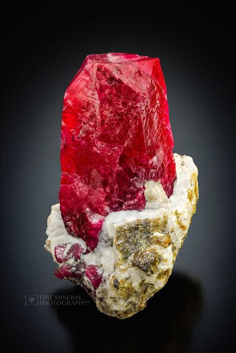 One of the most valuable and desired gemstones of all is pigeon blood-red Ruby, like this fabulous Corundum (var. Ruby) on white marble matrix from the Jegdalek Ruby Deposit, Surobi District, Kabul, Afghanistan. 5.1x3.8x3cm - photographed for Marcus Budil Minerals. Photo Credit: FINE MINERAL PHOTOGRAPHY Mineral Photography, Red Gems, Red Beryl, Kabul Afghanistan, Fine Minerals, Blood Red, Red Ruby, Raw Gemstones, Gems And Minerals