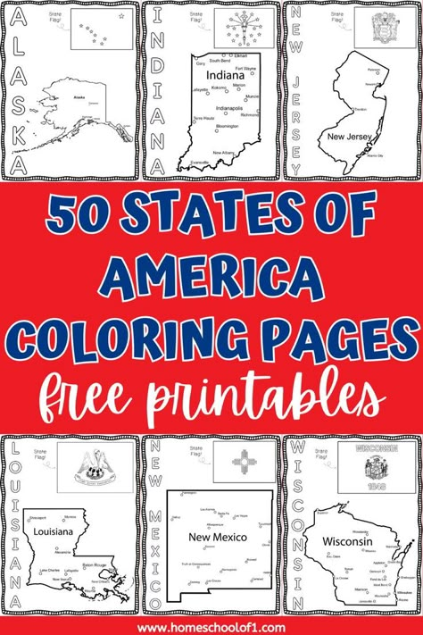 all 50 states including Alaska, Indiana, New Jersey, Louisana, New Mexico, Wisonsin, Texas, Florida, New York, 50 States Activities, America Coloring Pages, United States Geography, Us Geography, Unit Studies Homeschool, 4th Grade Social Studies, Pages To Color, The 50 States, Homeschool Projects