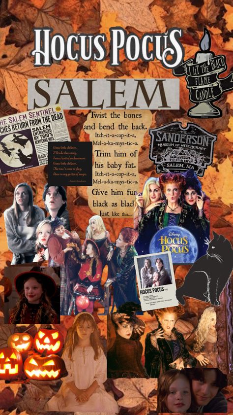 Hocus Pocus!🍁🍂👻🎃 Halloween Backgrounds Hocus Pocus, Fall Films, Hocus Pocus Witches, Music Cover Photos, Halloween Movie Night, Halloween Wallpaper Cute, Fall Shows, Halloween Wallpapers, Volleyball Inspiration