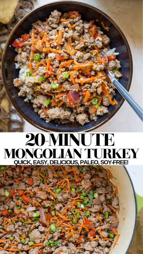 20-Minute Mongolian Turkey - The Roasted Root Mongolian Turkey, Fodmap Recipes Dinner, Low Fodmap Recipes Dinner, Ground Turkey Recipes Healthy, Healthy Ground Turkey, Healthy Dinner Recipe, Holistic Recipes, Low Fodmap Diet, Ground Turkey Recipes