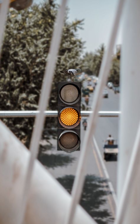 Yellow Traffic Light, Traffic Light Pictures, Pizza Branding, Yellow Cabs, Traffic Signal, Model Railroading, Stop Light, Traffic Light, Yellow Aesthetic