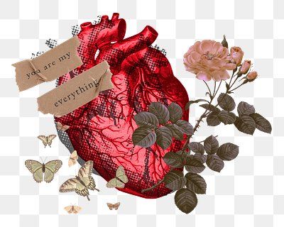 Human Heart Png, Butterfly And Heart, Sticker Transparent Background, Heart Organ, Butterfly And Flowers, About Heart, Love Collage, Sticker Transparent, Heart Vintage