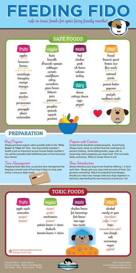 Dogs will eat anything and everything - Album on Imgur Toxic Foods For Dogs, Foods For Dogs, Lou Dog, Foods Dogs Can Eat, Chien Shih Tzu, Make Dog Food, Food Dog, Toxic Foods, Comparison Chart