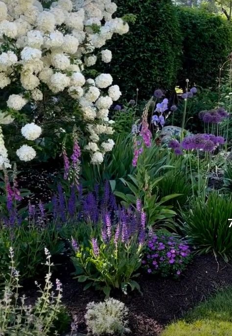 Allium Garden, Cottage Garden Plan, Backyard Garden Landscape, Front Yard Garden Design, Lavender Garden, Woodland Garden, Front Yard Garden, White Gardens, Perennial Garden