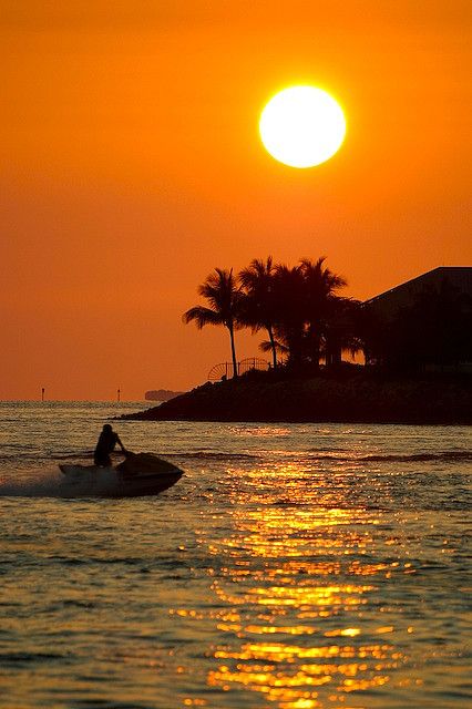 Jet Ski, love to go agin but with all the sharks I think I will pass!!!!!!!! Can't wait for beach though Ski Photography, Jet Skiing, Jet Skis, Lake Time, Jetski, Gossip News, Adventure Sports, Summertime Fun, Fun Fun