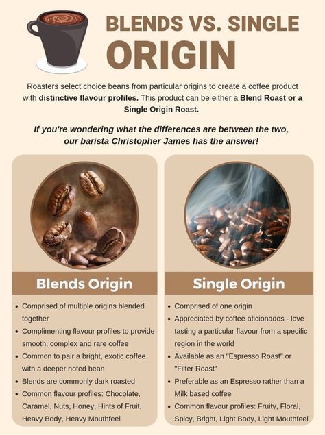 Coffee Beans Photography, Coffee Chart, Coffee Making Machine, Types Of Coffee Beans, Coffee Brewing Methods, Coffee Infographic, Coffee Shop Business, Coffee Geek, Coffee History