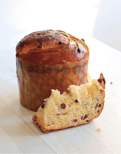 Quick & Easy Panettone