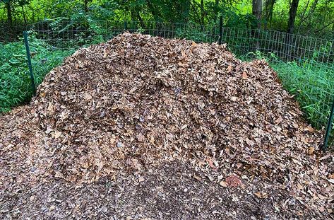 Chip Drop Mulch, Woodchips Garden Ideas, Wood Chips Landscaping Ideas, Wood Chip Garden, Wood Chip Path, Wood Chips Landscaping, Wood Chips Garden, Chip Ideas, Garden Homestead