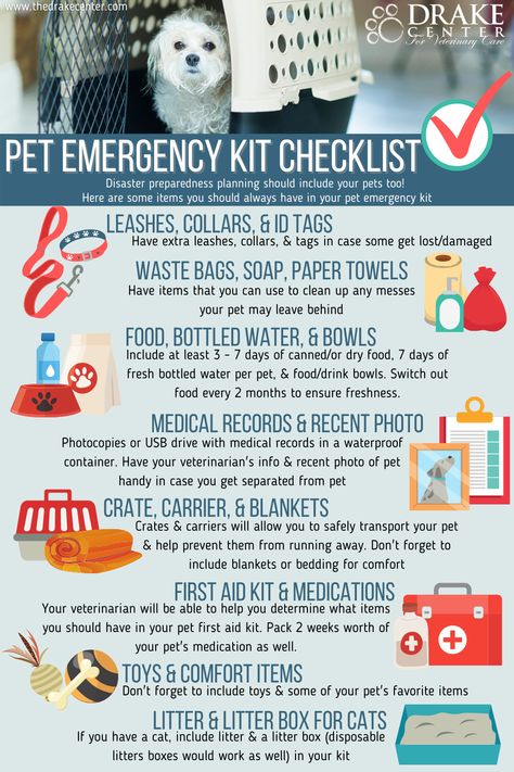 When putting together a family emergency kit, your pet should have one too! Here are some items that you should always have in your pet emergency kit. Emergency Kit For Family, Dog Emergency Kit, Cat Emergency Kit, Home Emergency Preparedness, Emergency Kit For Home, Emergency Kit Home, Emergency Preparedness Kit List, Emergency Kit Checklist, Family Emergency Kit