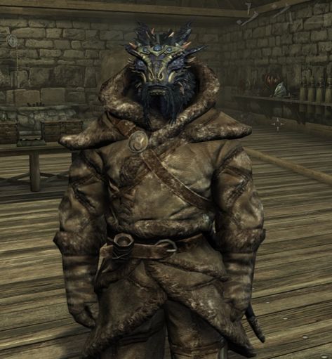 Hammerfell Elder Scrolls, Skyrim Character Art, Elder Scrolls Argonian, Argonian Skyrim, Skyrim Argonian, Skyrim Vampire, Skyrim Characters, Frost Dragon, Daedric Armor