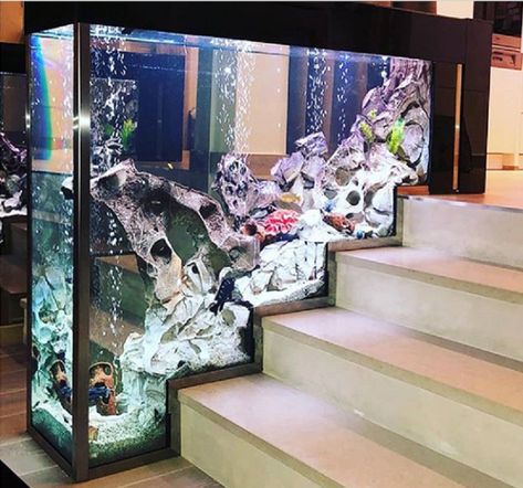 Wall Aquarium Design, Under Staircase, Custom Fish Tanks, Fish Tank Wall, Aquarium Cabinet, Custom Aquarium, Wall Aquarium, Cool Fish Tanks, Black Bedroom Design