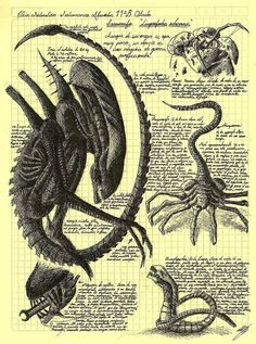 Run alien Giger Alien, Giger Art, Alien Artwork, Arte Alien, Aliens Movie, Alien Concept, Alien Vs Predator, Alien Concept Art, Alien Vs