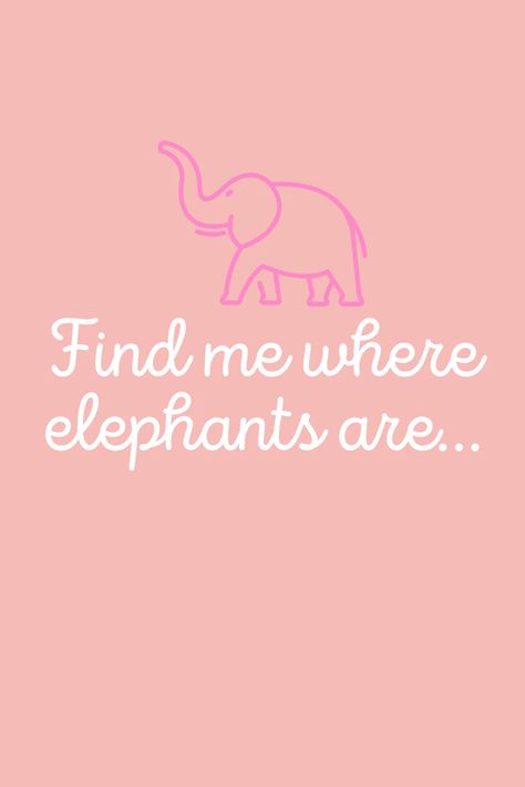 Elephant Love Quotes, Elephant Captions Instagram, Quotes About Elephants, Elephant Quotes Inspirational, Elephant Sayings, Moana Poster, Head Up Quotes, Bujo 2025, Elephant Quotes