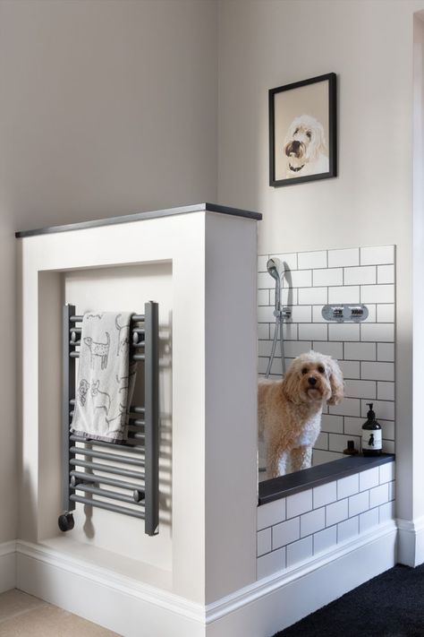 Design Tips For Creating The Perfect Pet Friendly Interiors Mudroom Dog Room, Dog Baths, Classic Contemporary Kitchen, Stacked Laundry, Pet Friendly Flooring, Humphrey Munson, Dog Washing Station, Inspiring Interiors, Design Your Kitchen