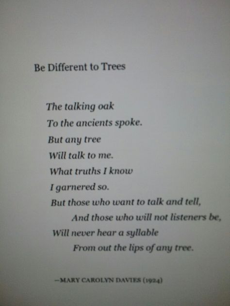 A poem about Trees . I love mother nature . From the book Wishtree . Goodreads.com Poem About Trees, Poems About Trees, Tree Poems, Tree Poem, About Trees, Short Poems, A Poem, Read Aloud, Talk To Me