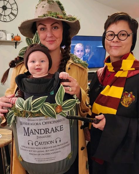 Harry Potter, Professor Sprout, and baby Mandrake Baby Mandrake Hat, Harry Potter Mandrake Costume, Baby Mandrake Costume Diy, Professor Sprout Costume Diy, Mandrake Baby Costume, Professor Sprout Costume, Harry Potter Baby Costume, Mandrake Costume, Teacher Halloween Costume Ideas