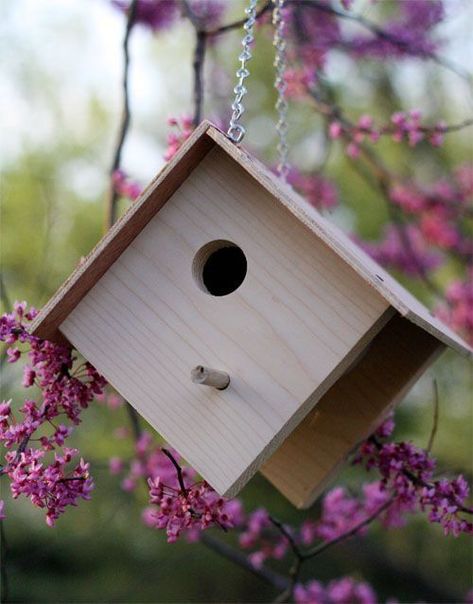 Easy tutorial for building a DIY wooden birdhouse. This unique design allows for easy cleaning. Kids Woodworking Projects, Ideas Terraza, Wood Projects For Kids, Bird House Plans, Wood Projects For Beginners, Woodworking Projects For Kids, Woodworking For Kids, Bird Houses Diy, Diy Holz