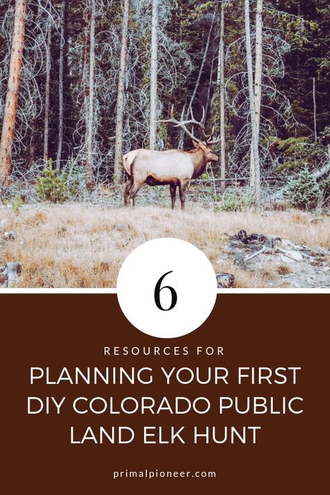 6 Resources for Planning Your First DIY Colorado Public Land Elk Hunt Elk Hunting Workout, Deer Hunting Tips Scouting, Elk Processing Chart, Deer Hunting For Beginners, Colorado Elk Hunting Tips, Elk Hunting Tips, Elk Hunting Colorado, Western Hunting, Moose Hunting