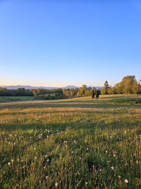 Golden Hour    #vsco #aesthetic #meadow #goldenhour #sunset #mountains Golden Hour Mountains, Bau Aesthetic, Aesthetic Meadow, Meadow Aesthetic, Meadow Mountain, Sunset Meadow, Golden Meadow, Sunset Mountains, Vsco Aesthetic