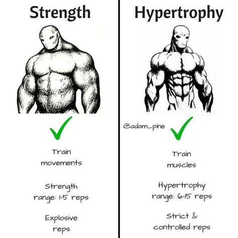 Hypertrophy Training, Muscle Hypertrophy, Fitness Memes, Training Fitness Gym, Gym Tips, Bodybuilding Workout, Muscle Building Workouts, Workout Memes, Biceps Workout