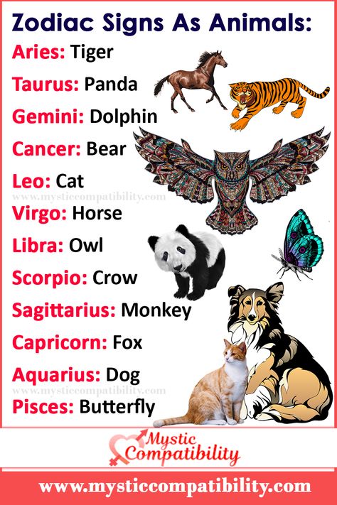 Zodiac Signs As Animals with MysticCompatibility #Animals #Animal_Zodiac_Signs #Zodiac_Signs The Signs As Animals, Zodiac As Animals, Star Sign Animals, Zodiacs As, Virgo Animal Zodiac, Zodiac Signs As, Zodiac Signs As Characters, Gemini Animal, Zodiac Signs As Animals