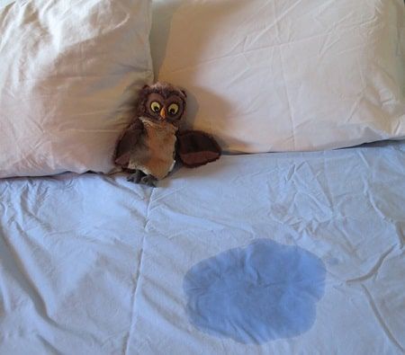 Bed-wetting in children: An evidence-based guide to causes and treatments Paradise Rot, Wet The Bed, Blur Picture, Oppositional Defiant Disorder, Sleep Time, Better Parent, Behavior Problems, Boy Pictures, Adam Sandler