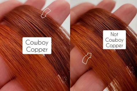 Cowboy Copper Hair Color How To Get Cowboy Copper Hair, Red Copper Pixie Hair, Money Piece On Copper Hair, Diy Cowboy Copper Hair, Cowboy Copper Hair Color Formula, Cowboy Copper Hair Formula Wella, Cowboy Cooper Short Hair, What To Wear With Copper Hair Outfit, Red Copper Hair Color Formulas