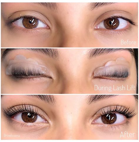 Lash Tint And Lift, Lash Lift Training, Eye Lash Design, Eyelash Lift And Tint, Natural Fake Eyelashes, Eyebrow Lift, Lashes Extensions, Eyelash Tinting, Lash Tint