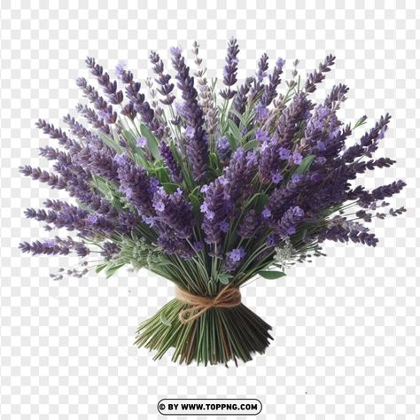 Flowers Bouquet Lavender, Flower Bokeh, Flower Bouquet Png, Purple Flower Arrangements, Bouquet Lavender, Purple Flower Bouquet, Lavender Spray, Lavender Bouquet, Transparent Flowers