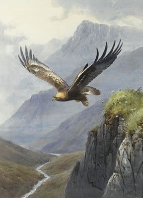 Roland Green - Related Artists Raptor Art, Aigle Royal, John Harrison, Eagle Images, Eagle Wallpaper, Victorian Paintings, Eagle Pictures, Eagle Art, Summer Painting