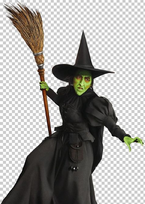 Wizard Of Oz Witch, Wizard Of Oz Characters, Wizard Of Oz 1939, Oz Movie, Wicked Witch Of The West, Witch Of The West, Evil Witch, Witch Face, Witch Dress