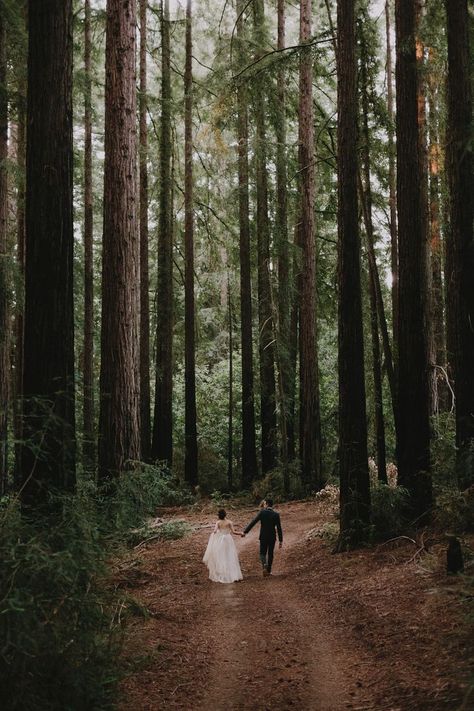 Schönes Hochzeitsfoto Nestledown Wedding, Shooting Couple, Vsco Film, Redwood Forest, Foto Tips, Photo Couple, Woodland Wedding, Forest Wedding, Wedding Photography Inspiration