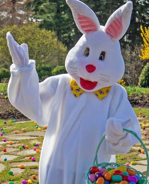 Hop into fun at Skytop Lodge this Easter! 🐣 Don't miss your chance to have breakfast with the Easter Bunny and celebrate Easter with a delicious breakfast buffet, a photo op with the Easter Bunny himself, and an egg hunt filled with sweet surprises. 📍 @skytoplodge | Skytop, PA #PoconoMtns #PoconoMountains #HoppyEaster #SkytopLodge Pocono Mountains, The Easter Bunny, Hoppy Easter, Delicious Breakfast, Breakfast Buffet, An Egg, Photo Op, Egg Hunt, Yummy Breakfast