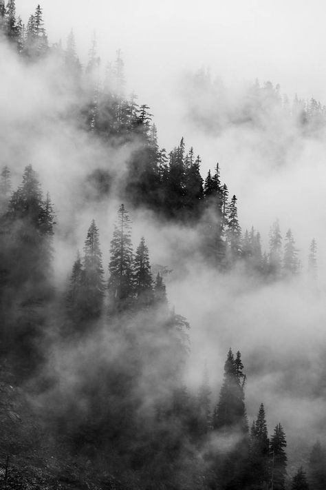 Original Art Black & White/Digital Photography, measuring: 50.8W x 76.2H x 0.3D cm, by: Timothy Mcguire (United States). Styles: Fine Art, Photorealism, Documentary. Subject: Landscape. Keywords: Forests, Misty, Fog, Dragons Breath, Mountains, Trees, Landscapes, Clouds, Pacific Northwest, Weather, Ridgelines, Low Clouds. This Black & White/Digital Photography is one of a kind and once sold will no longer be available to purchase. Buy art at Saatchi Art. Pacific Northwest Style, Clouds Mountains, Misty Mountains, Dragons Breath, Black And White Landscape, Cascade Mountains, Art Subject, Photorealism, Original Landscape