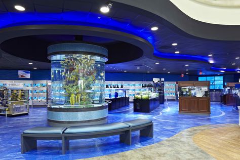 All Pets Pet Store Design, Aquarium Store, Aquarium Shop, Public Aquarium, Aquarium Design, Store Design Interior, Commercial Interior Design, Store Interior, Shop Interior Design