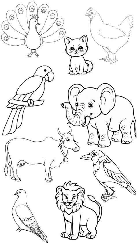 Bird Worksheets Preschool, Animals Worksheet, P Alphabet, Animal Worksheets, Worksheets Preschool, Animals And Birds, Cartoon Letters, Preschool Worksheets, Pet Birds