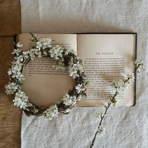 flower crown and books Mabel Podcast, Blood Magic, Diana Barry, Earth Fairy, Crown Aesthetic, Festival Inspiration, Anne With An E, Anne Shirley, Fairy Fashion