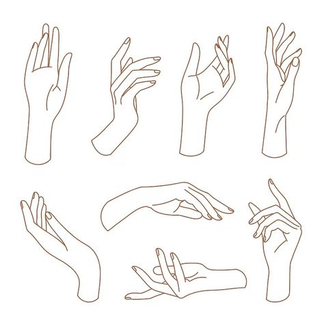 Premium Vector | Set of delicate women's hand in linear style female hands in various gestures Hands Illustration Drawing, Delicate Hand Reference, Woman Hands Drawing, Art Reference Hands, Hand Poses References, How To Draw A Hand, Hand Poses Drawing, Hand Reference Drawing, Hands Drawing Reference