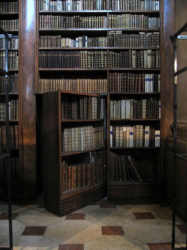 Secret Passage, Lots Of Books, Panic Rooms, Secret Passages, Library Bookshelves, Secret Passageways, Hidden Spaces, Dream Library, Beautiful Library