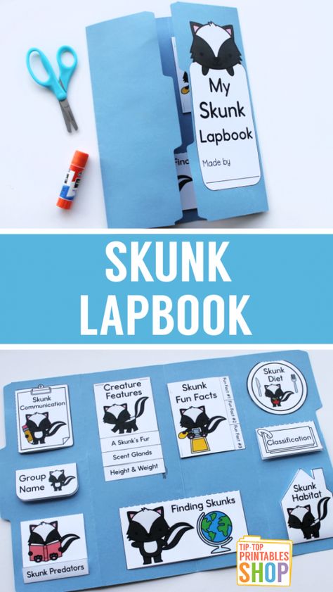 Skunk Lapbook - Homeschool Share Skunk And Badger Book Activities, Homeschool Science Lessons, Greenhouse Academy, Animal Studies, Land Animals, Shape Books, National Geographic Kids, Fall Preschool, Animal Study