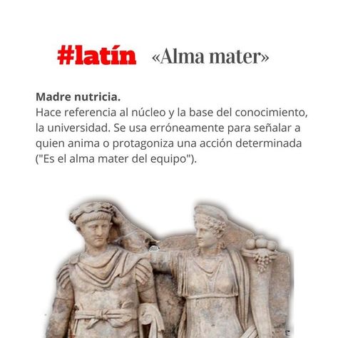 Latin Quotes, Latin Language, Rare Words, Spanish Words, Latin Words, Alma Mater, More Than Words, Learning Spanish, New Words