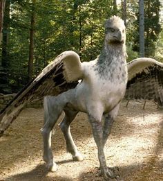 Magical Gains: Hippogriff or Griffin... what's the difference? Black Hippogriff, Hippogriff Tattoo, Harry Potter Creatures, Hogwarts Tattoo, Images Harry Potter, Lord Voldemort, Fantastic Beasts And Where, Remus Lupin, Harry Potter Wallpaper