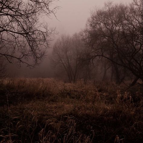 Brown Scenery Aesthetic, Dark Acadamia, Dark Autumn, Dark Paradise, Dark Academia Aesthetic, The Fog, Rainy Season, The Secret History, Academia Aesthetic