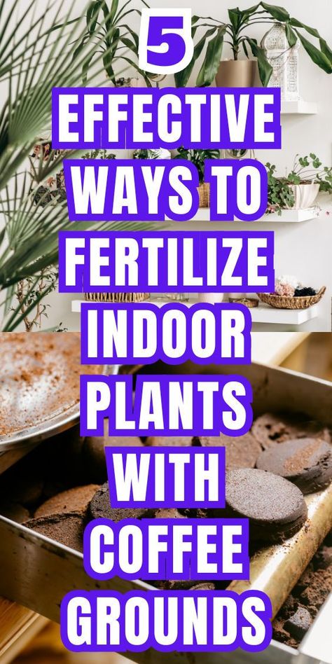 5 Effective Ways To Fertilize Indoor Plants With Coffee Grounds, Coffee 
Grounds Fertilizer Techniques, Using Coffee Grounds As Plant Fertilizer, 
Best Practices for Fertilizing Indoor Plants with Coffee Grounds, Tips for 
Using Coffee Grounds to Fertilize Indoor Plants Coffee Fertilizer Plants, Coffee Grounds For Plants Indoor, Coffee For Plants Houseplant, What Plants Like Coffee Grounds, Coffee Grounds For Plants, Indore Plants, Coffee Grounds As Fertilizer, Used Coffee Grounds, Plant Jungle