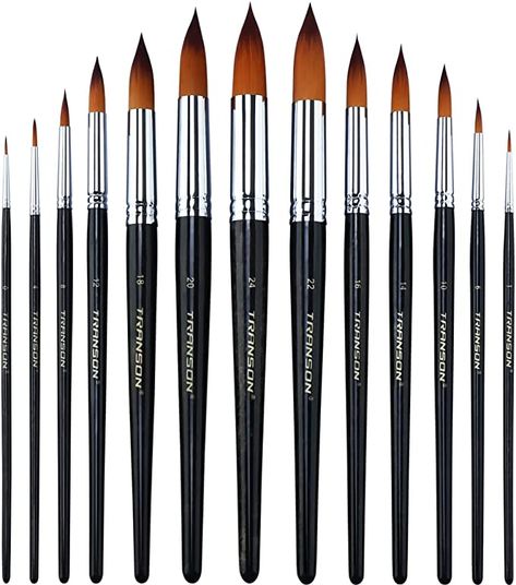 Amazon.com: Transon 13pcs Round Paint Brush Set Synthetic Bristle Complete Round Brush Set for Watercolor Acrylic Gouache Ink Tempera Round Paint Brush, Different Types Of Painting, Painting Materials, Paint Brush Set, Layer Paint, Acrylic Gouache, Artist Brush, Round Brush, 3d Painting