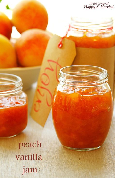 Homemade Jam Aesthetic, Vanilla Peach Jam, Spiced Peach Jam, Vanilla Jam, Canning Jam Recipes, Peach Jam Recipe, Spiced Peaches, Peach Jelly, Southern Summer