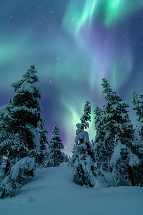 Northern Lights Photography, Lapland Finland, Aurora Borealis Northern Lights, Image Nature, Pretty Landscapes, Winter Scenery, The Northern Lights, Winter Landscape, Pretty Places